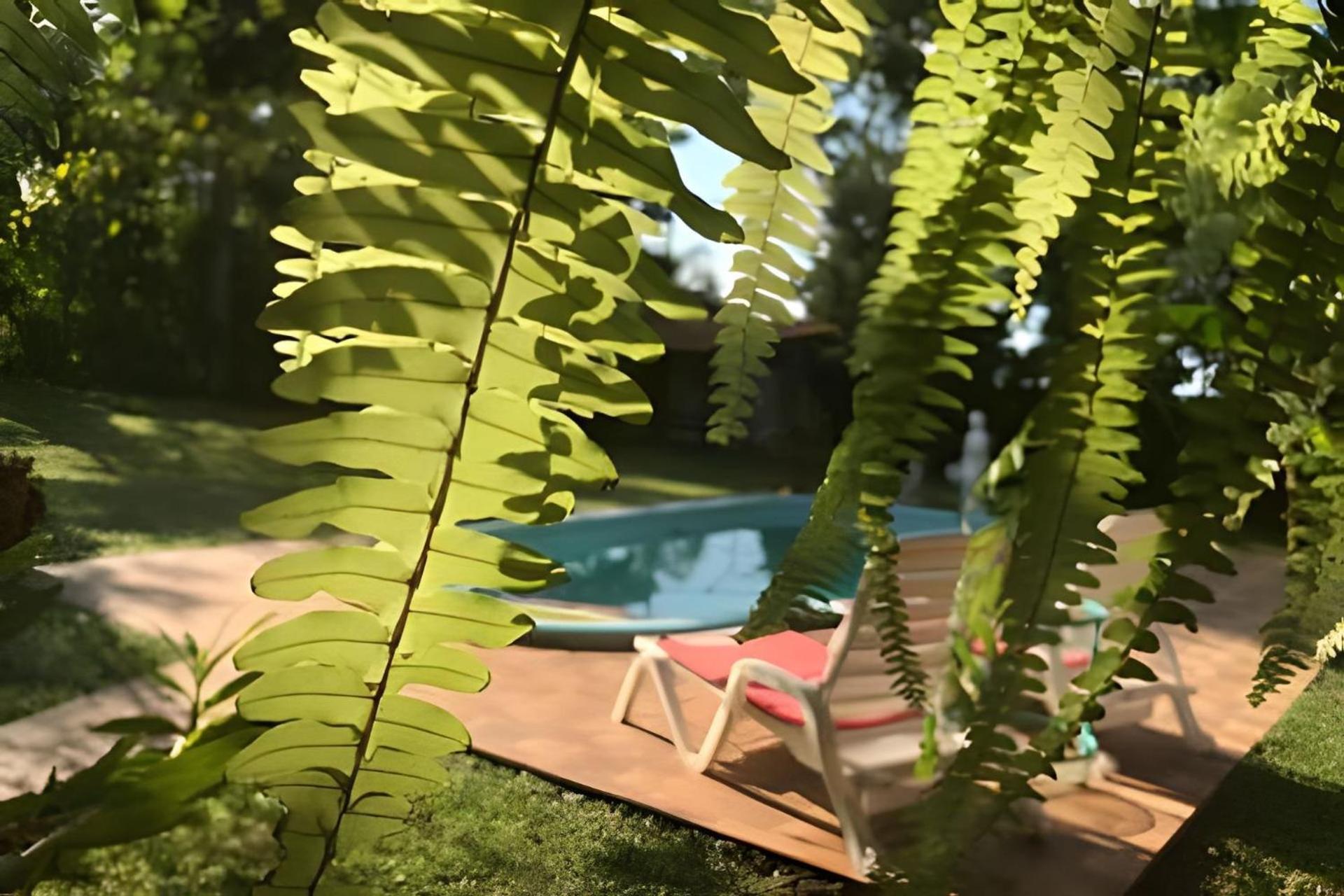Cabanas Con Piscina En La Entrada De Oberá 외부 사진